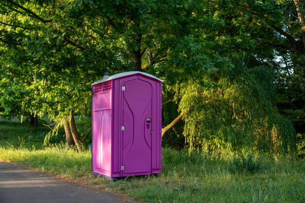 Affordable portable toilet rental in Skyline, AL